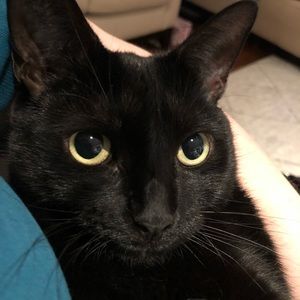 Meet your Posher, Regina